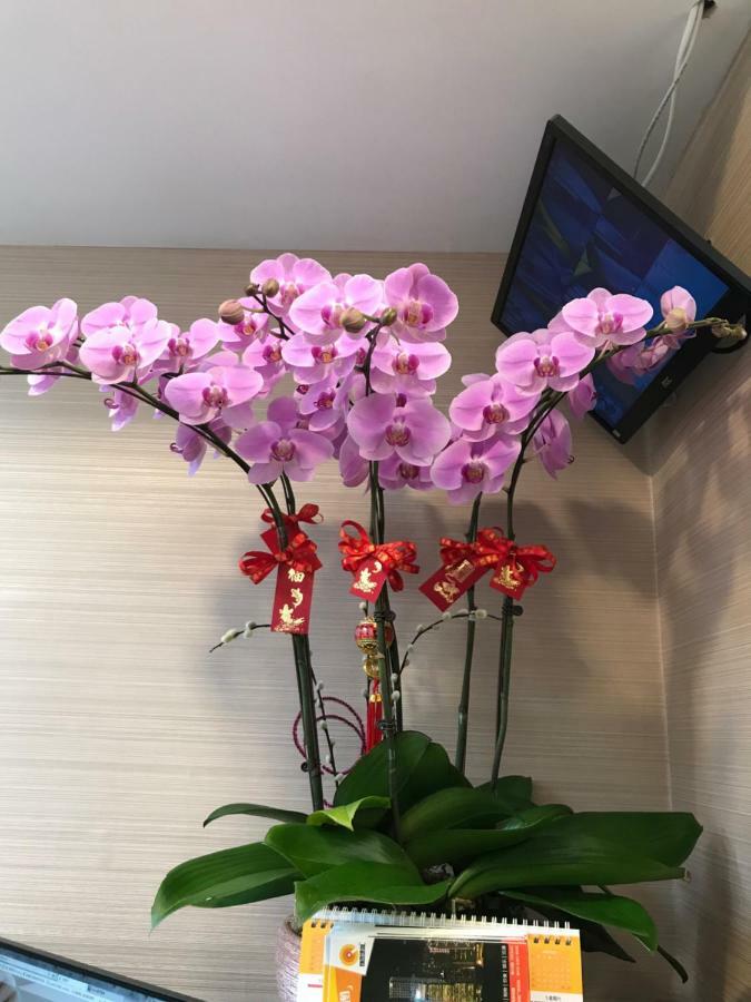 Vve Vve Hotel 香港 エクステリア 写真